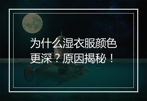 为什么湿衣服颜色更深？原因揭秘！