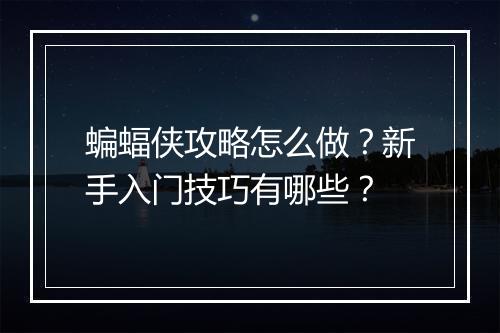 蝙蝠侠攻略怎么做？新手入门技巧有哪些？