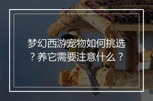 梦幻西游宠物如何挑选？养它需要注意什么？
