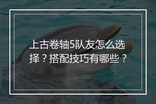 上古卷轴5队友怎么选择？搭配技巧有哪些？