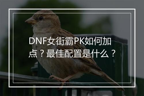 DNF女街霸PK如何加点？最佳配置是什么？