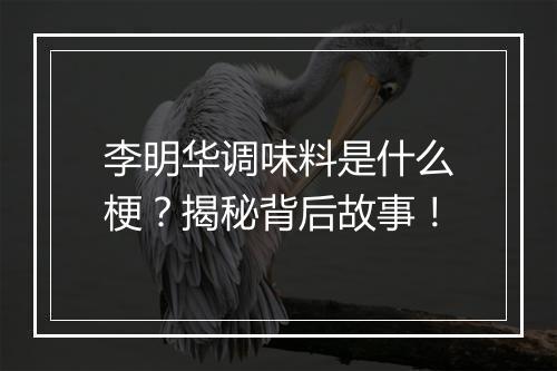 李明华调味料是什么梗？揭秘背后故事！
