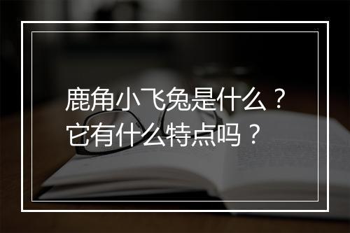 鹿角小飞兔是什么？它有什么特点吗？