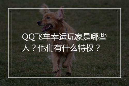 QQ飞车幸运玩家是哪些人？他们有什么特权？