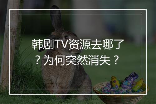 韩剧TV资源去哪了？为何突然消失？
