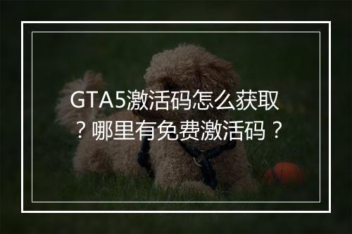 GTA5激活码怎么获取？哪里有免费激活码？