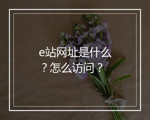 e站网址是什么？怎么访问？