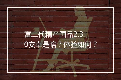 富二代精产国品2.3.0安卓是啥？体验如何？