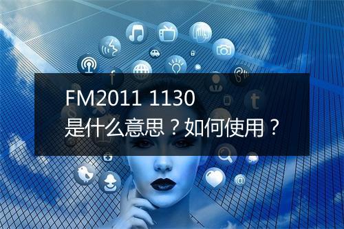 FM2011 1130是什么意思？如何使用？
