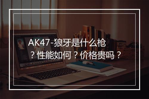 AK47-狼牙是什么枪？性能如何？价格贵吗？