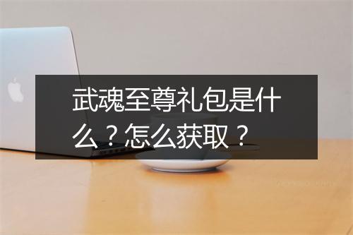 武魂至尊礼包是什么？怎么获取？