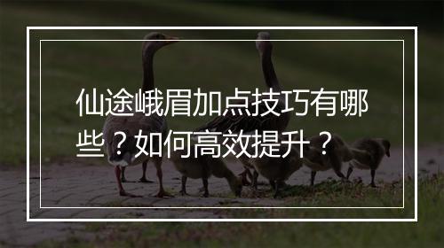 仙途峨眉加点技巧有哪些？如何高效提升？