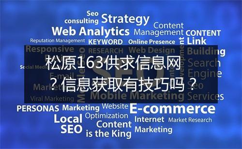 松原163供求信息网？信息获取有技巧吗？