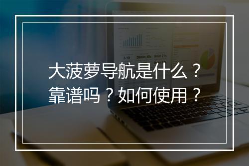 大菠萝导航是什么？靠谱吗？如何使用？
