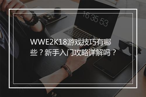 WWE2K18游戏技巧有哪些？新手入门攻略详解吗？