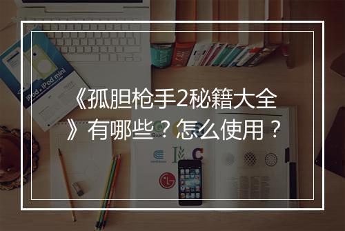 《孤胆枪手2秘籍大全》有哪些？怎么使用？