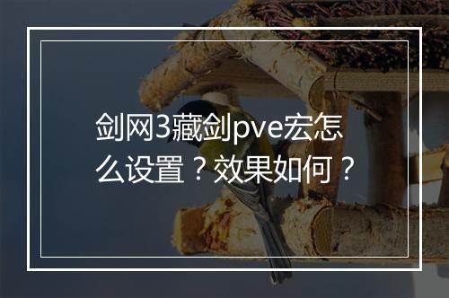 剑网3藏剑pve宏怎么设置？效果如何？