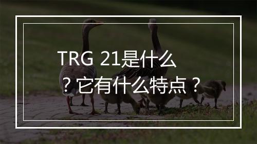 TRG 21是什么？它有什么特点？