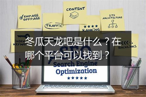 冬瓜天龙吧是什么？在哪个平台可以找到？