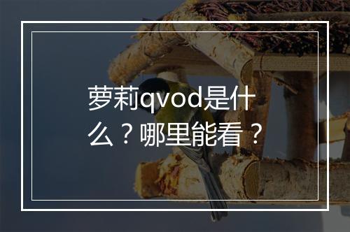 萝莉qvod是什么？哪里能看？