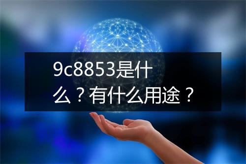 9c8853是什么？有什么用途？