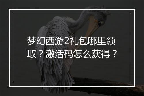梦幻西游2礼包哪里领取？激活码怎么获得？
