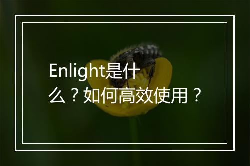 Enlight是什么？如何高效使用？
