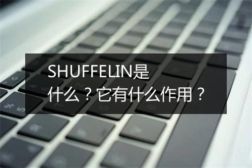 SHUFFELIN是什么？它有什么作用？