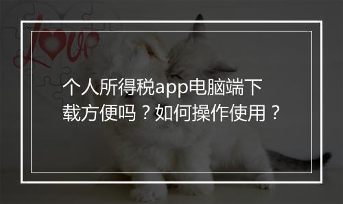 个人所得税app电脑端下载方便吗？如何操作使用？