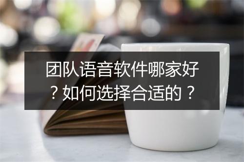 团队语音软件哪家好？如何选择合适的？