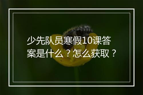 少先队员寒假10课答案是什么？怎么获取？