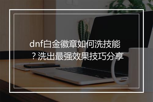 dnf白金徽章如何洗技能？洗出最强效果技巧分享