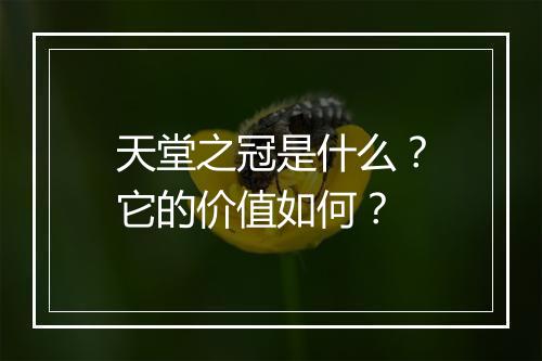 天堂之冠是什么？它的价值如何？