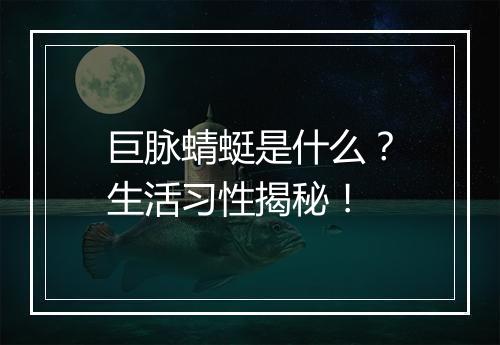 巨脉蜻蜓是什么？生活习性揭秘！