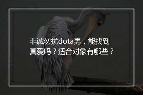非诚勿扰dota男，能找到真爱吗？适合对象有哪些？