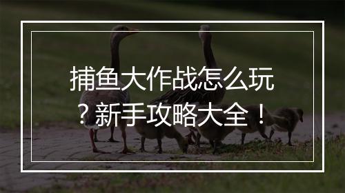 捕鱼大作战怎么玩？新手攻略大全！