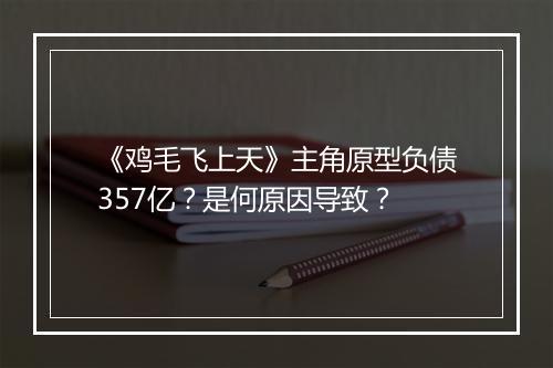 《鸡毛飞上天》主角原型负债357亿？是何原因导致？