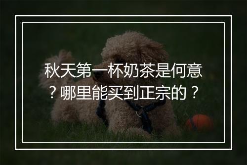 秋天第一杯奶茶是何意？哪里能买到正宗的？