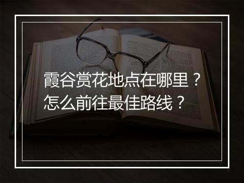 霞谷赏花地点在哪里？怎么前往最佳路线？