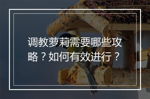 调教萝莉需要哪些攻略？如何有效进行？