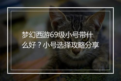 梦幻西游69级小号带什么好？小号选择攻略分享