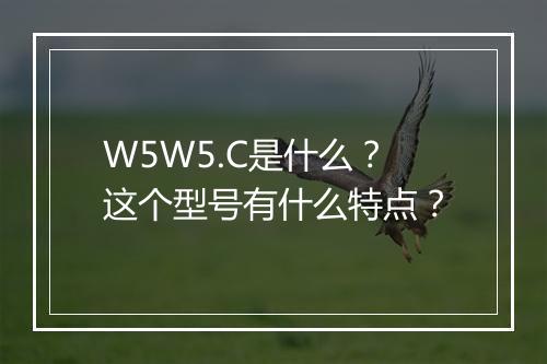 W5W5.C是什么？这个型号有什么特点？
