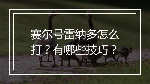 赛尔号雷纳多怎么打？有哪些技巧？