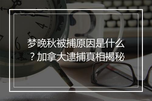 梦晚秋被捕原因是什么？加拿大逮捕真相揭秘