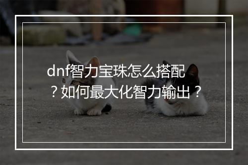 dnf智力宝珠怎么搭配？如何最大化智力输出？