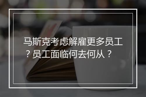 马斯克考虑解雇更多员工？员工面临何去何从？