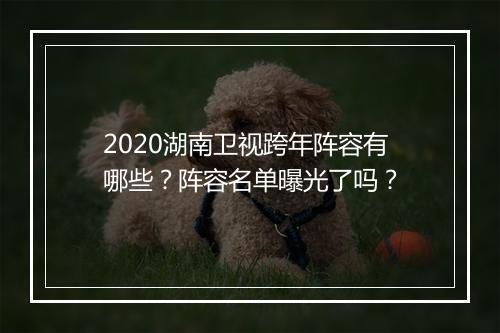 2020湖南卫视跨年阵容有哪些？阵容名单曝光了吗？