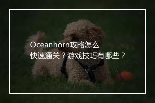 Oceanhorn攻略怎么快速通关？游戏技巧有哪些？