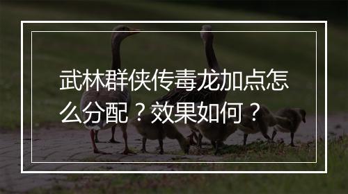 武林群侠传毒龙加点怎么分配？效果如何？