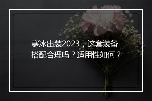 寒冰出装2023，这套装备搭配合理吗？适用性如何？